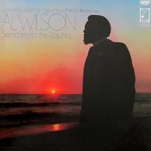 Searching for the dolphins